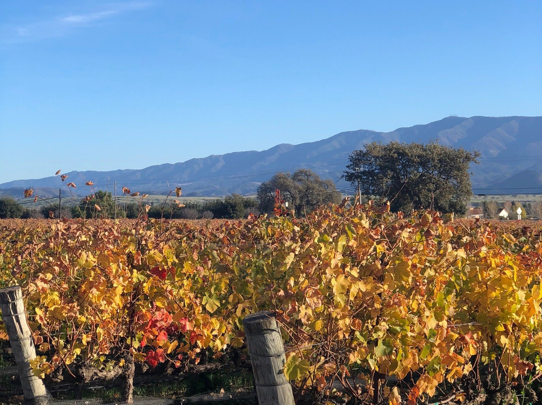 Solvang Wine Tours-索尔万必去景点