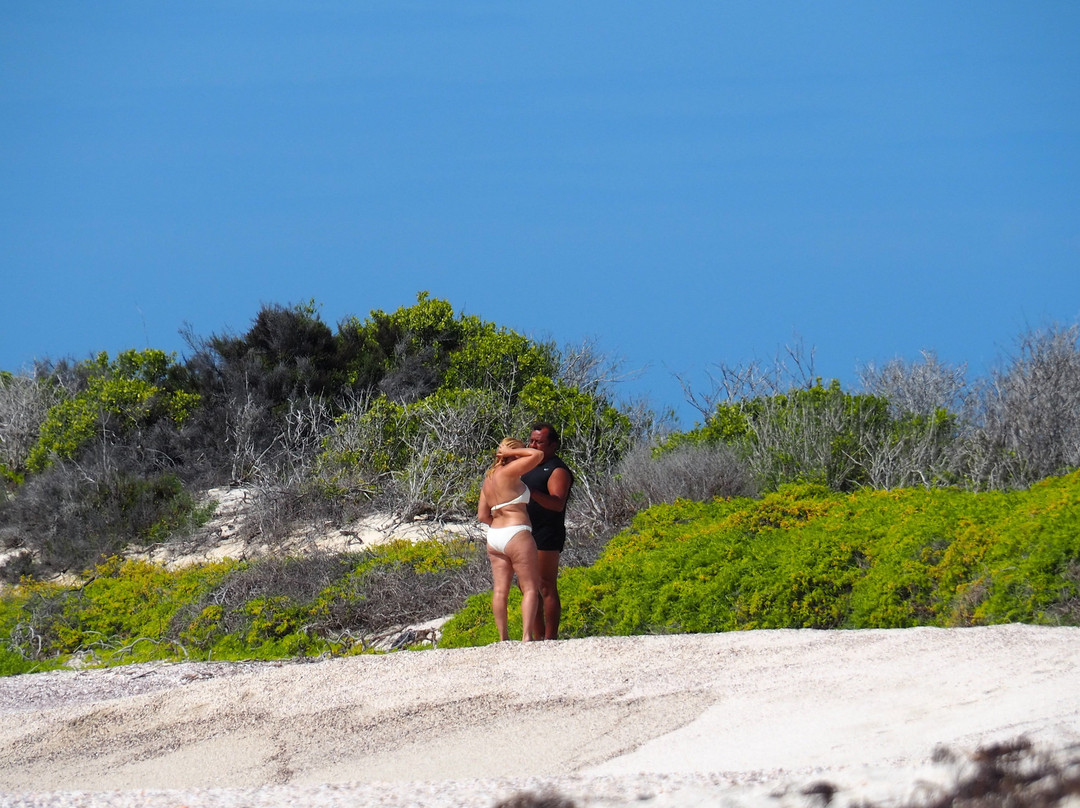 Galapagos Fishing Adventures Gustavo Tour S.A-Puerto Baquerizo Moreno必去景点