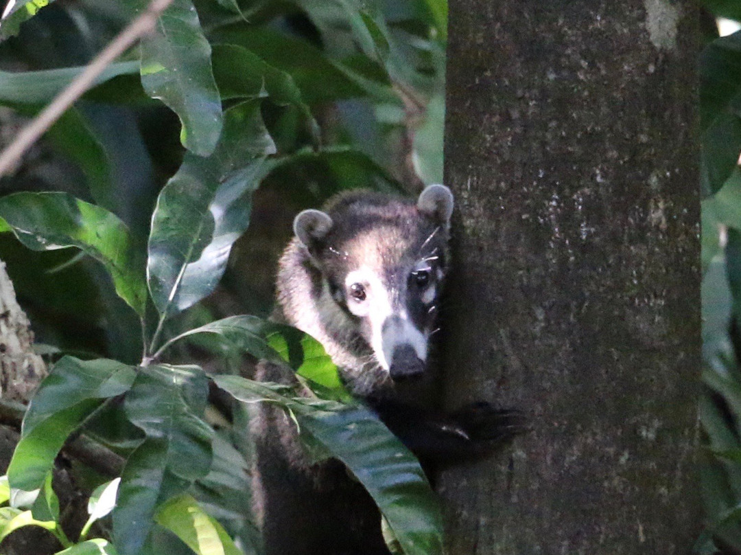 Hotel Belvedere主图