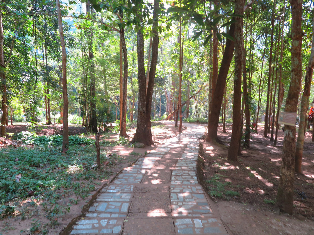 Namtok Pha Charoen National Park-扑柏必去景点
