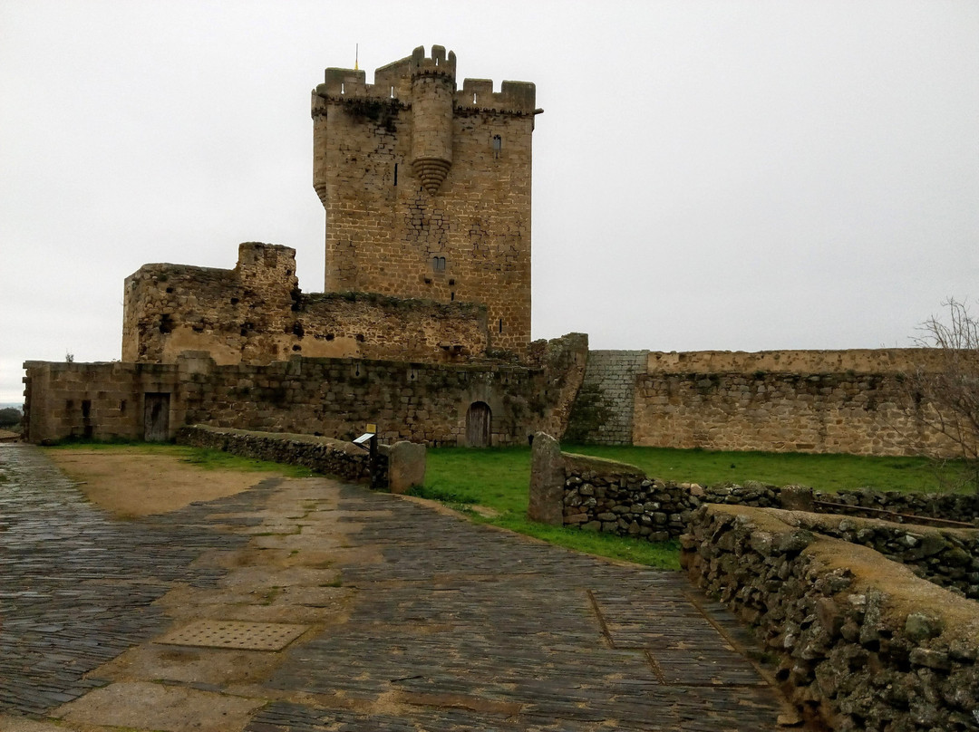 Castillo de San Felices de los Gallegos景点图片