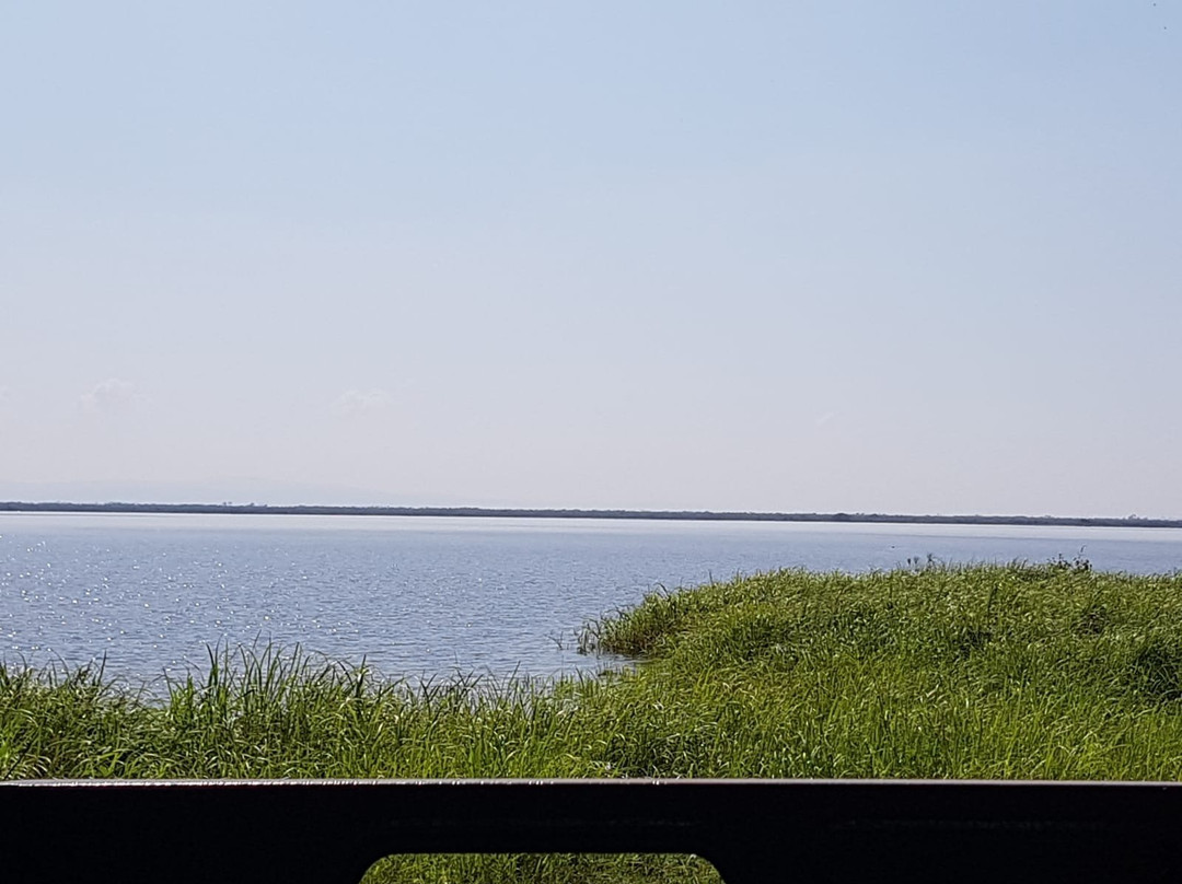 A Step Into Nature Tours景点图片