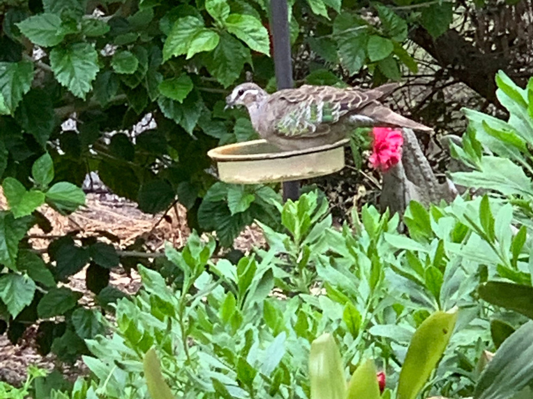 Devonleigh Bed & Breakfast主图