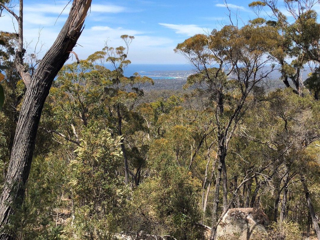 Blue Derby Mountain Bike Trails景点图片