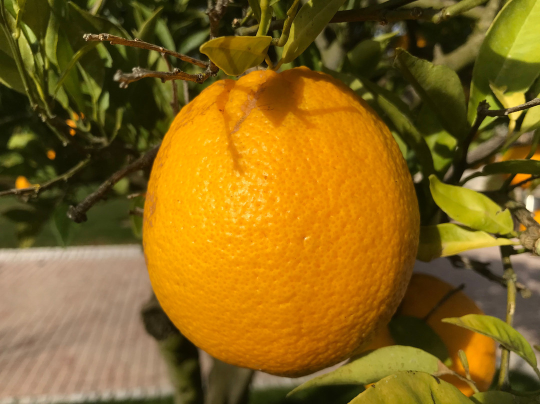 Hotel de Charme Casa da Amieira主图