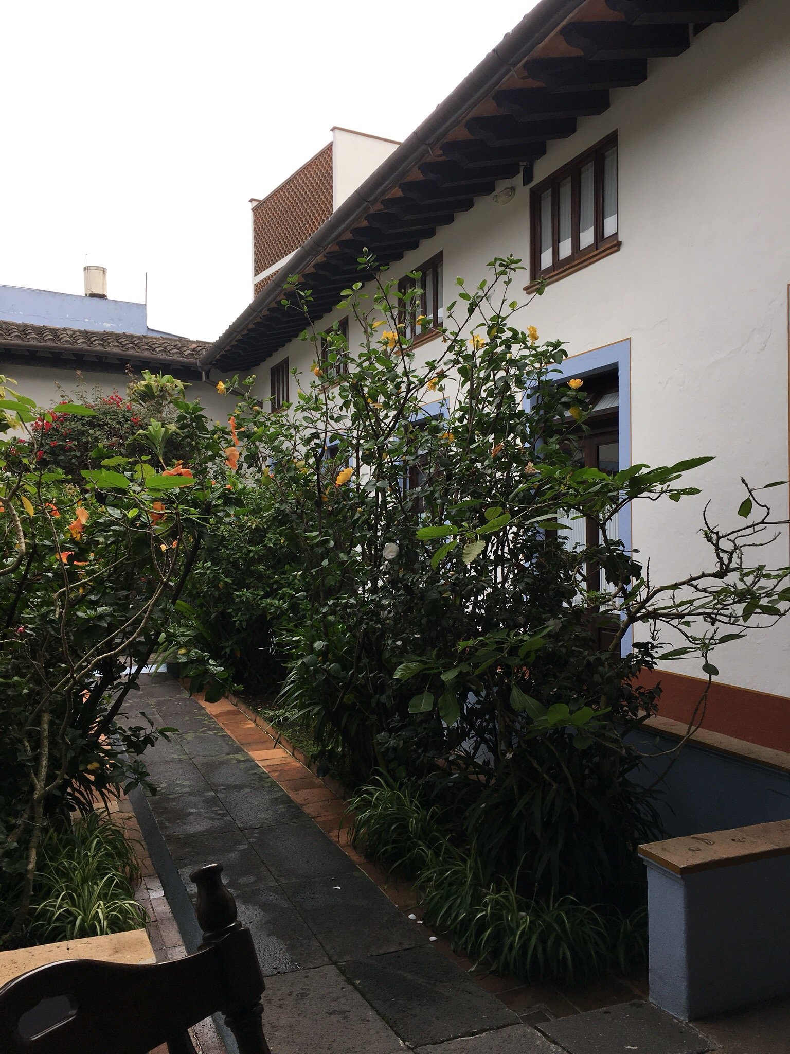 Meson del Alferez Coatepec-官方