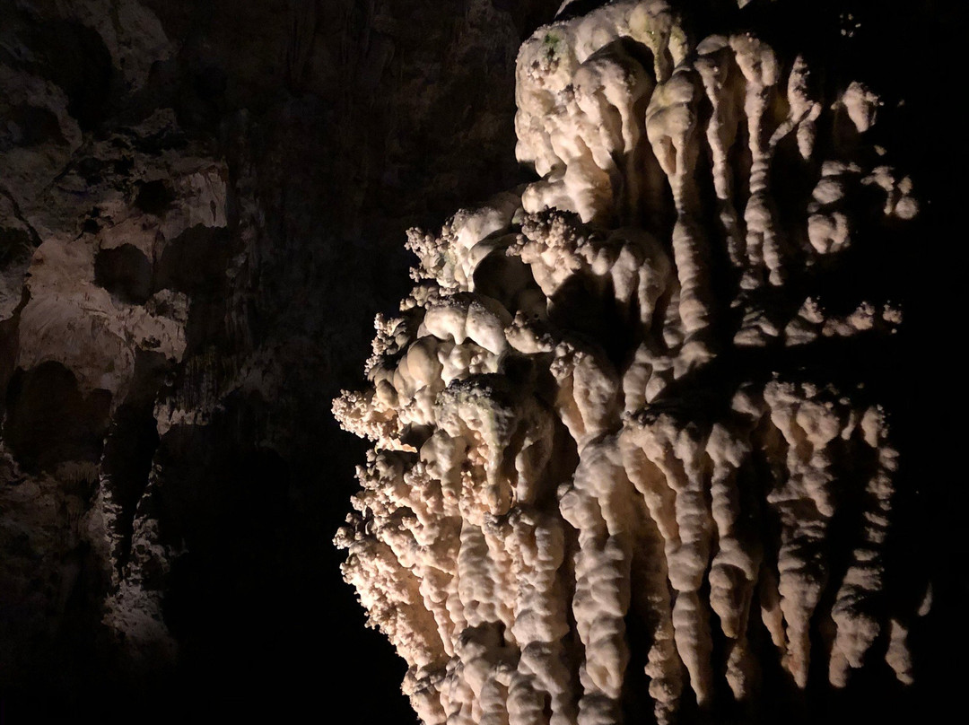 Giant Dome-卡尔斯巴德洞穴国家公园必去景点