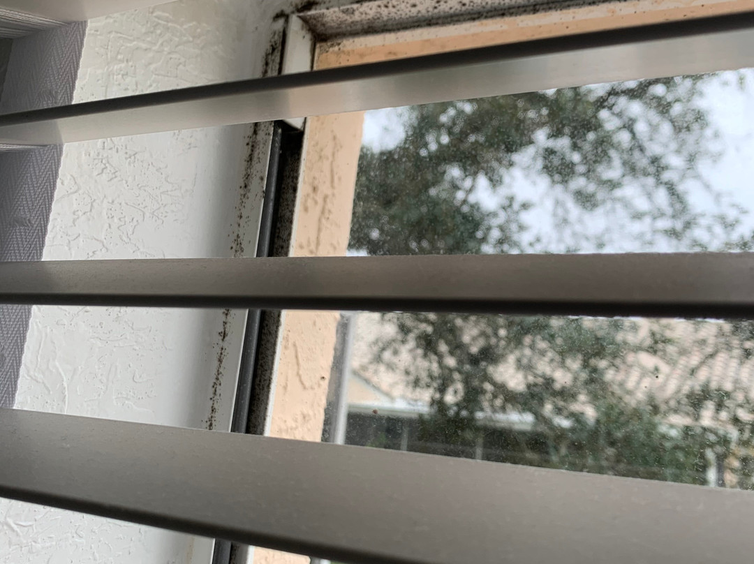 Ventura Country Club-奥兰多必去景点