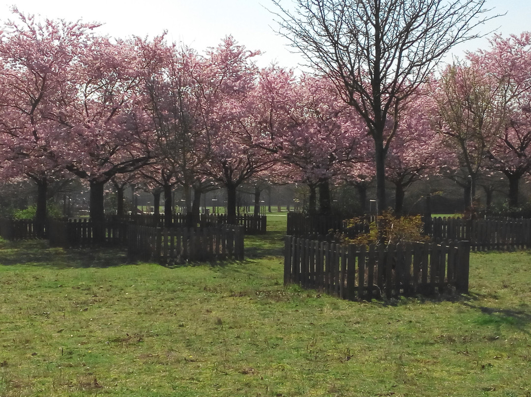 Parc du Sausset-Aulnay-sous-Bois必去景点