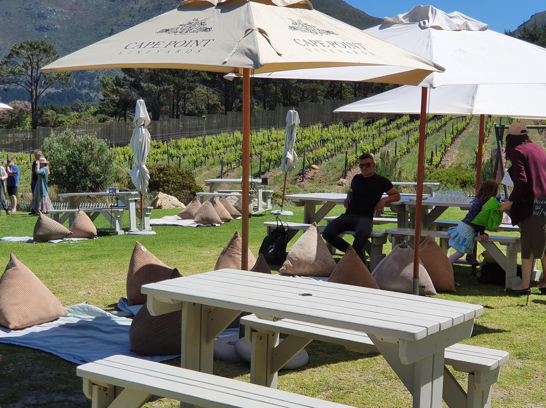 CHALULA PRIVATE TOURS-开普敦中心区必去景点