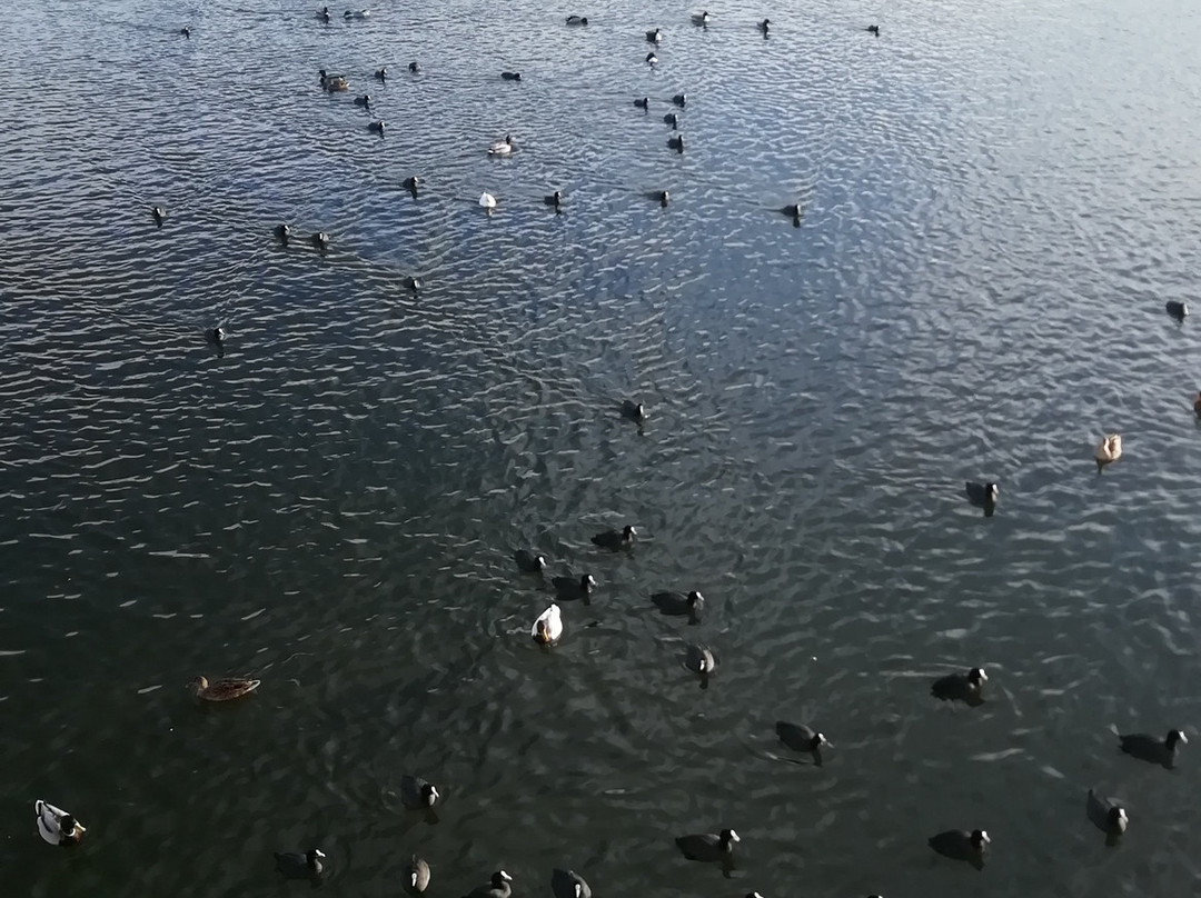 Parque de los Lagos-罗塔必去景点
