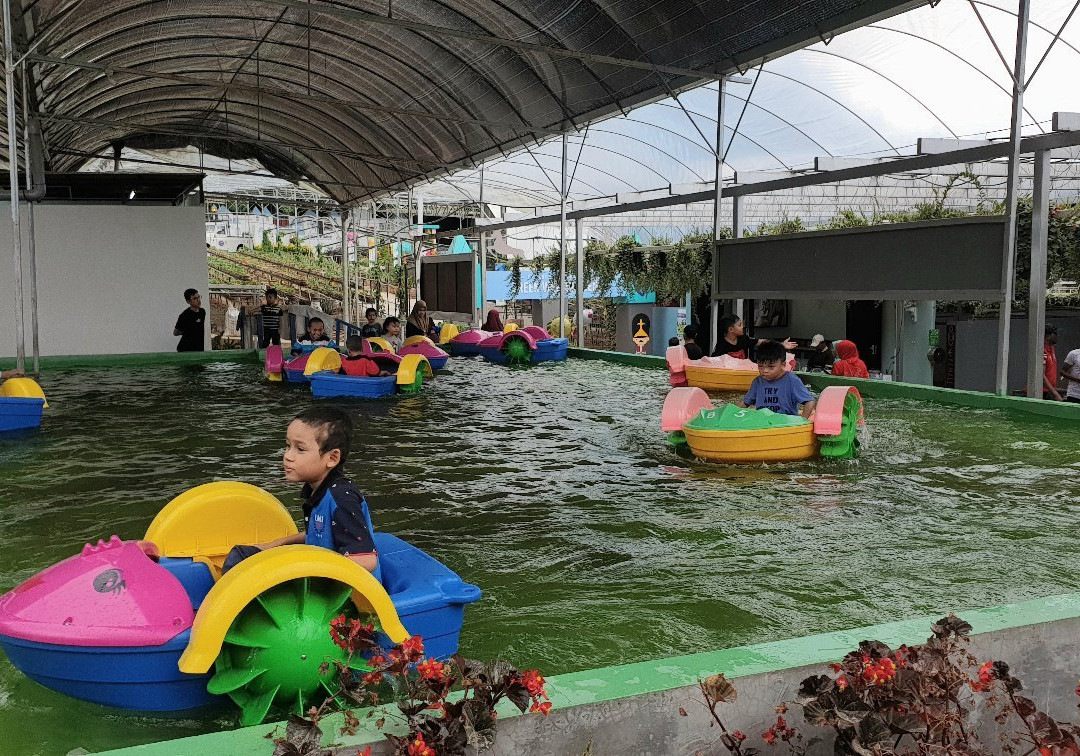 Green View Garden Cameron Highlands-丹那拉塔必去景点