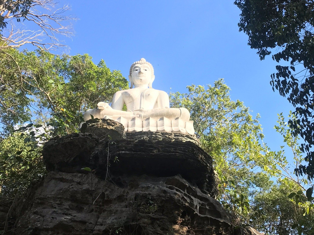 Wat Pa Phu Pha Sung景点图片