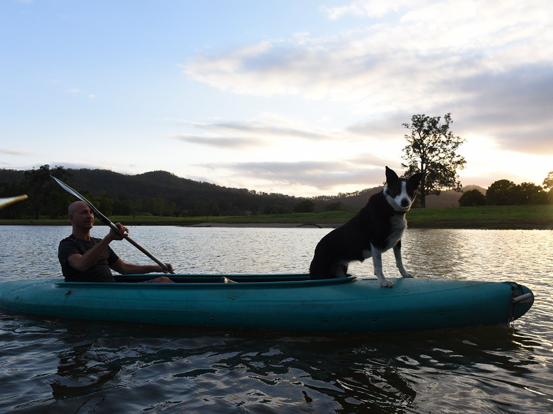 Bellingen Canoe Adventures景点图片