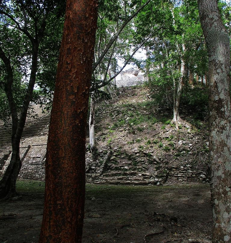 Kinichna Zona Arqueologica景点图片