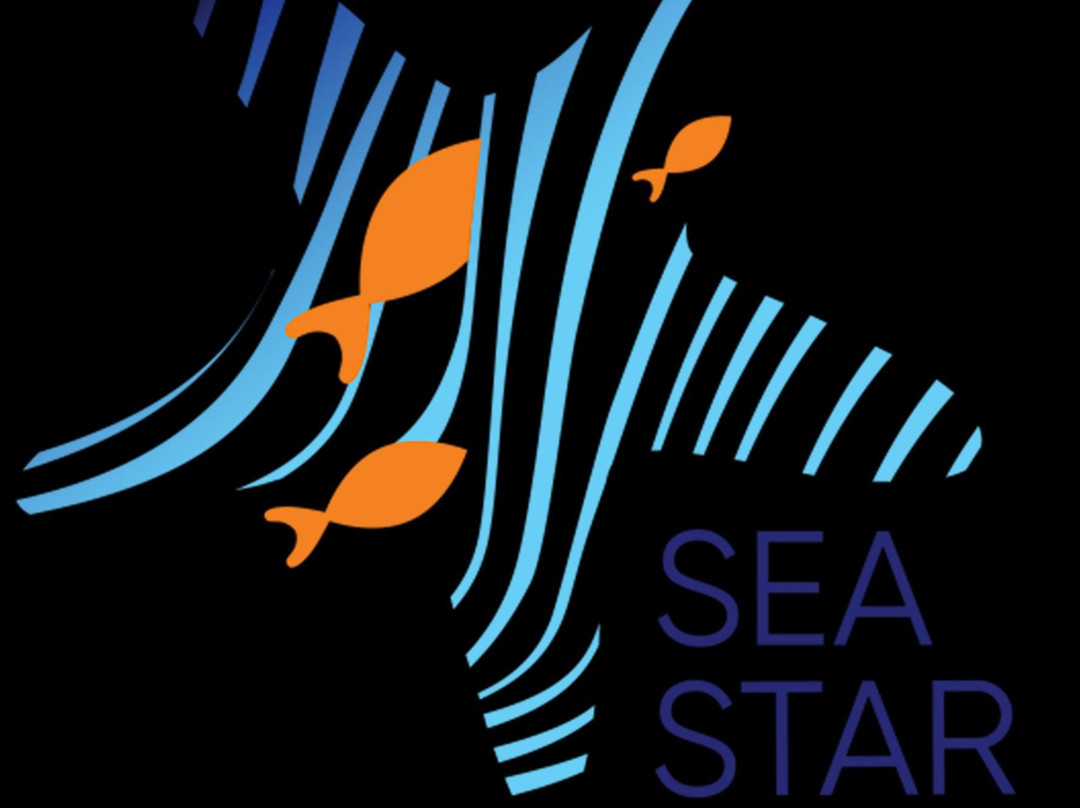 Sea Star Diving Center-马累必去景点