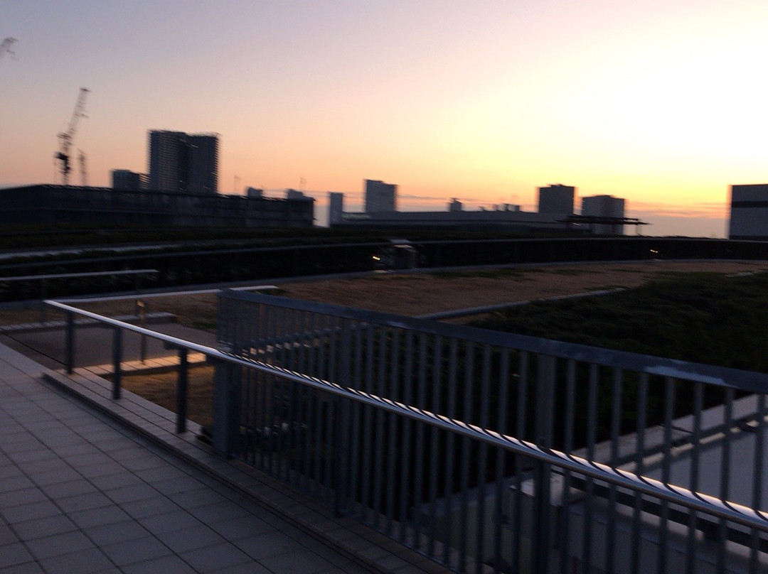 Toyosu Market Rooftop Garden-Toyosu必去景点