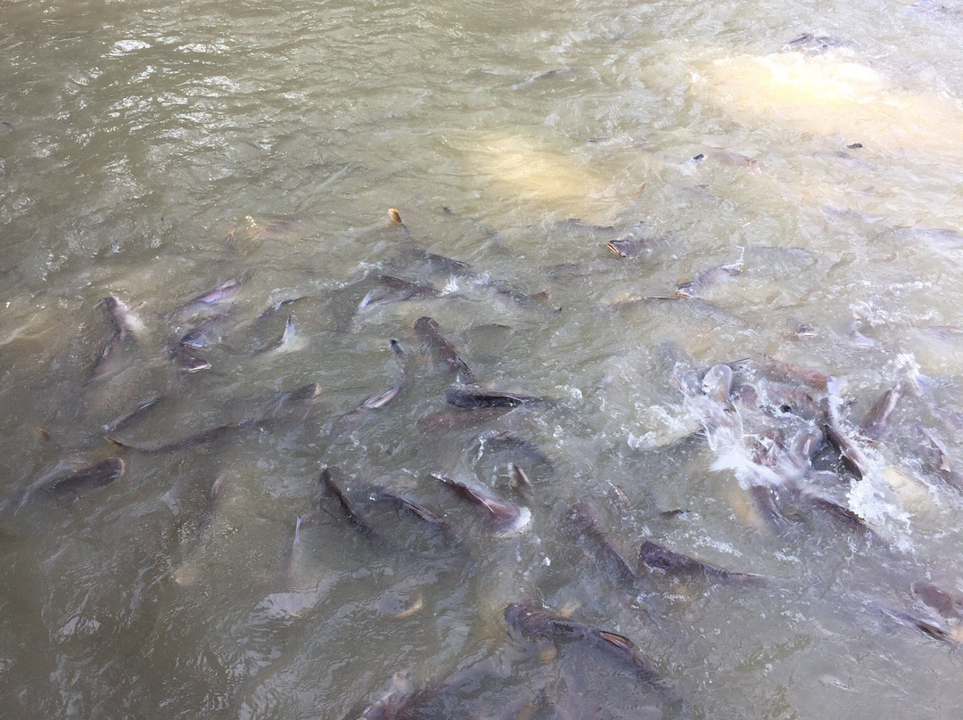 Wat Tonson-红统必去景点