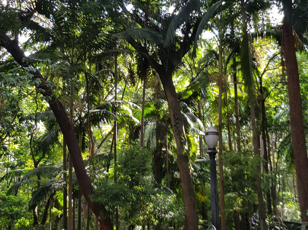 Tenente Siqueira Campos Park (Trianon)-圣保罗必去景点