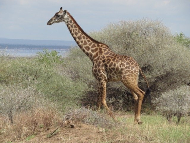 Mtaani Adventures-乞力马扎罗山国家公园必去景点