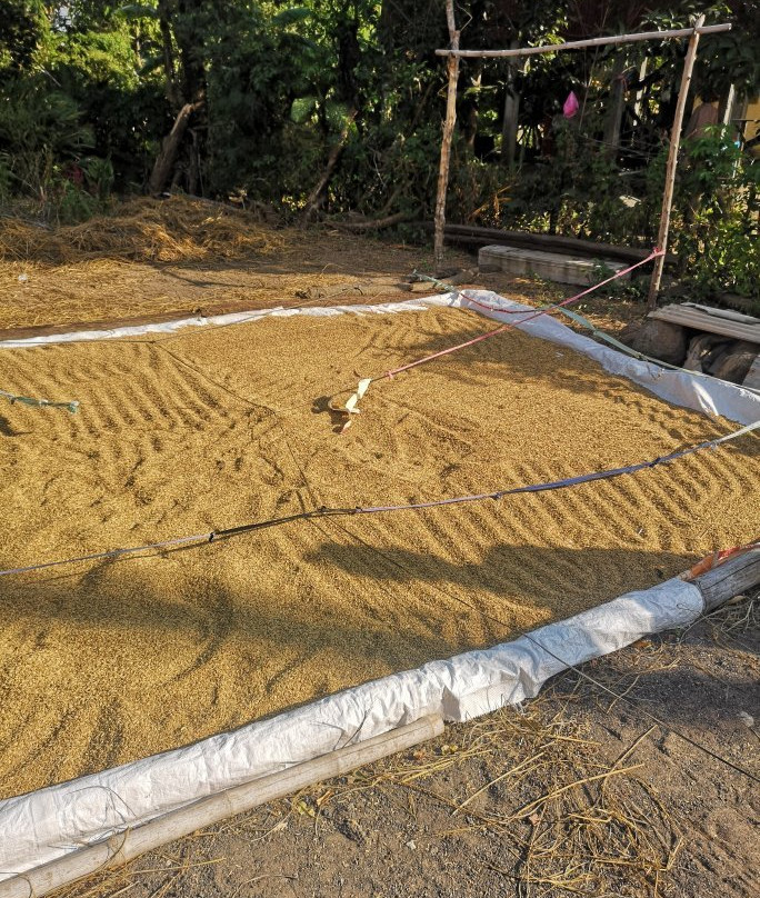 Cheung Kok Village-磅湛必去景点