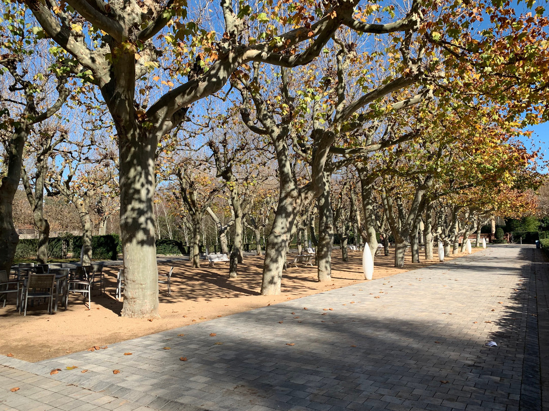 Hotel Balneari Termes Orion主图