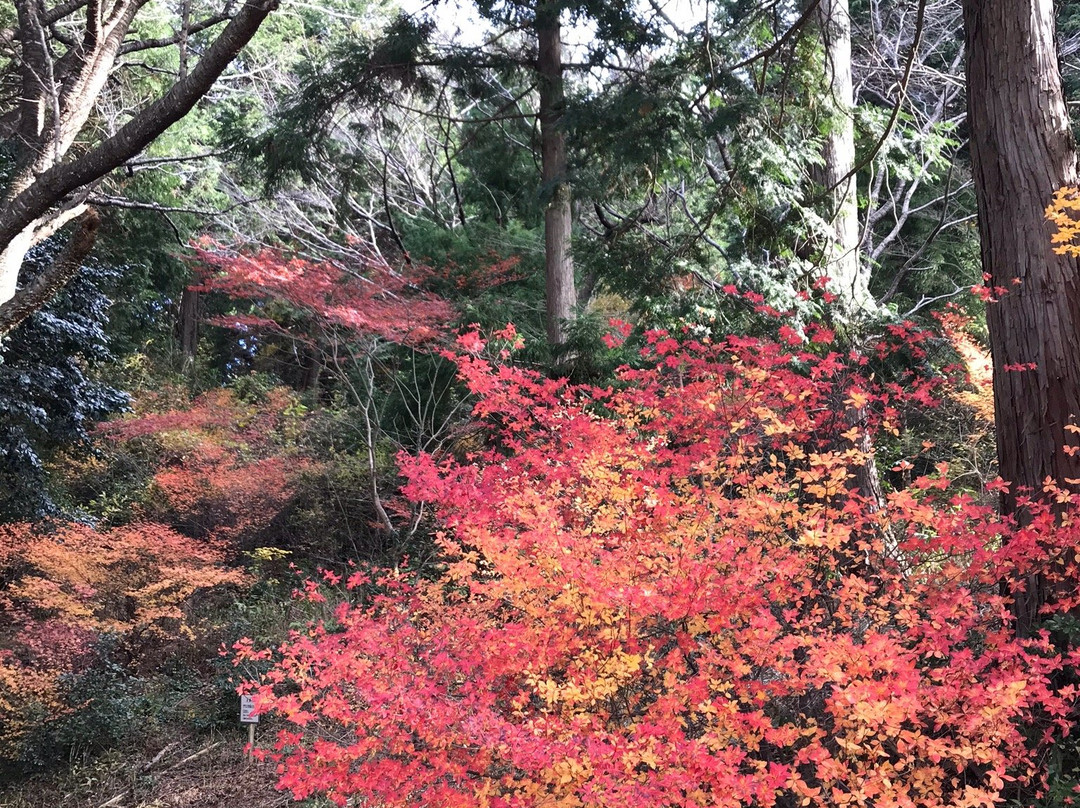 Mt. Miyaji-丰川市必去景点