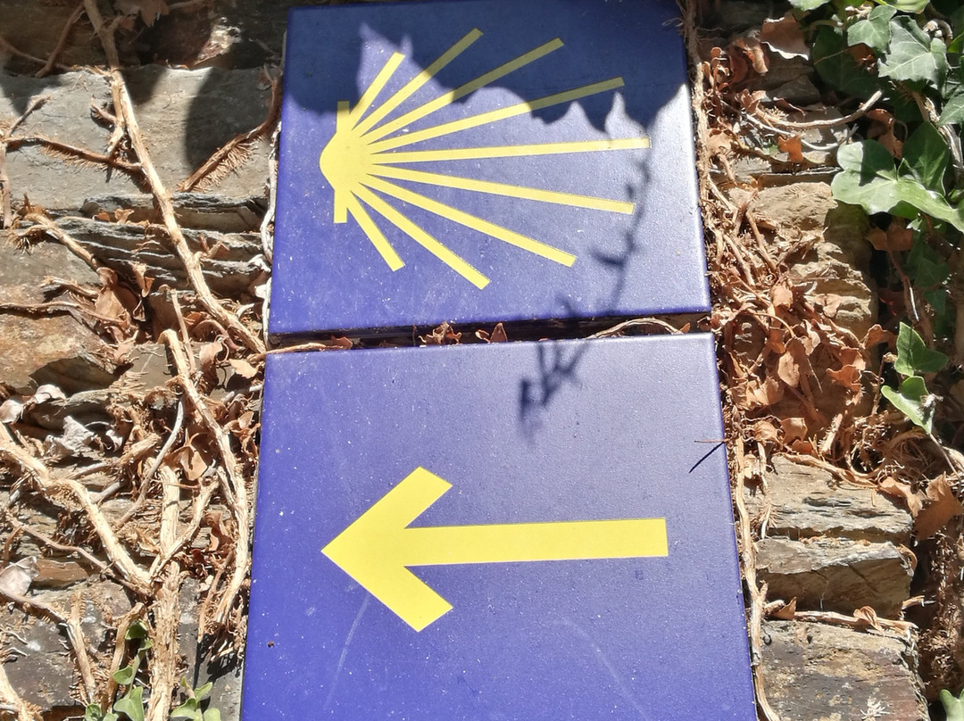 Castineiro Milenario-Begonte必去景点