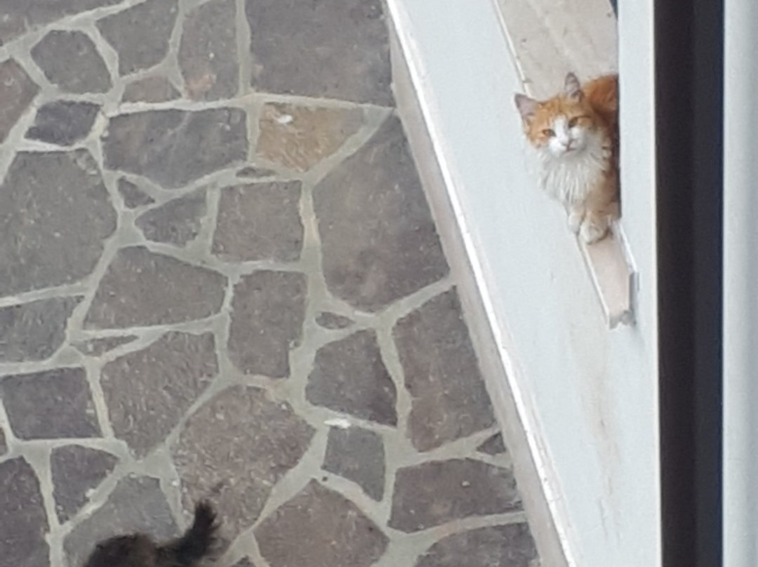 B&B la Nuova Dimora主图