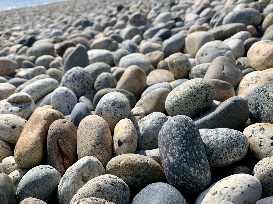 Davis Bay Beach-Sechelt必去景点