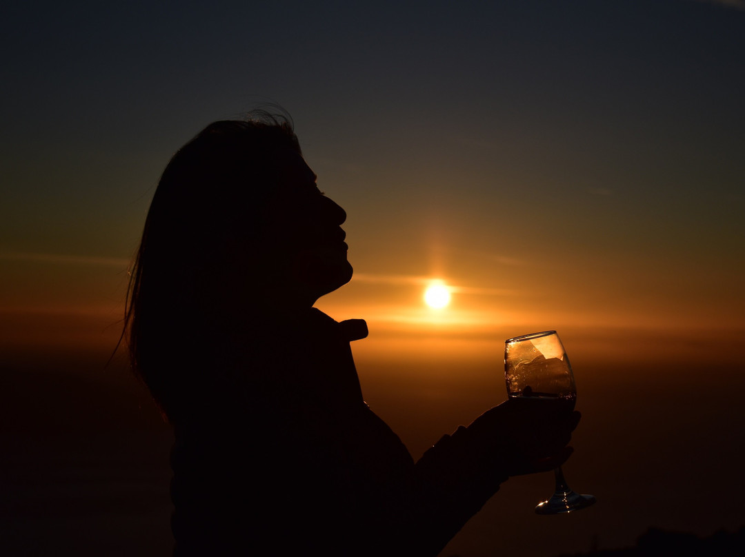 SouthernEx Chile-巴拉斯港必去景点