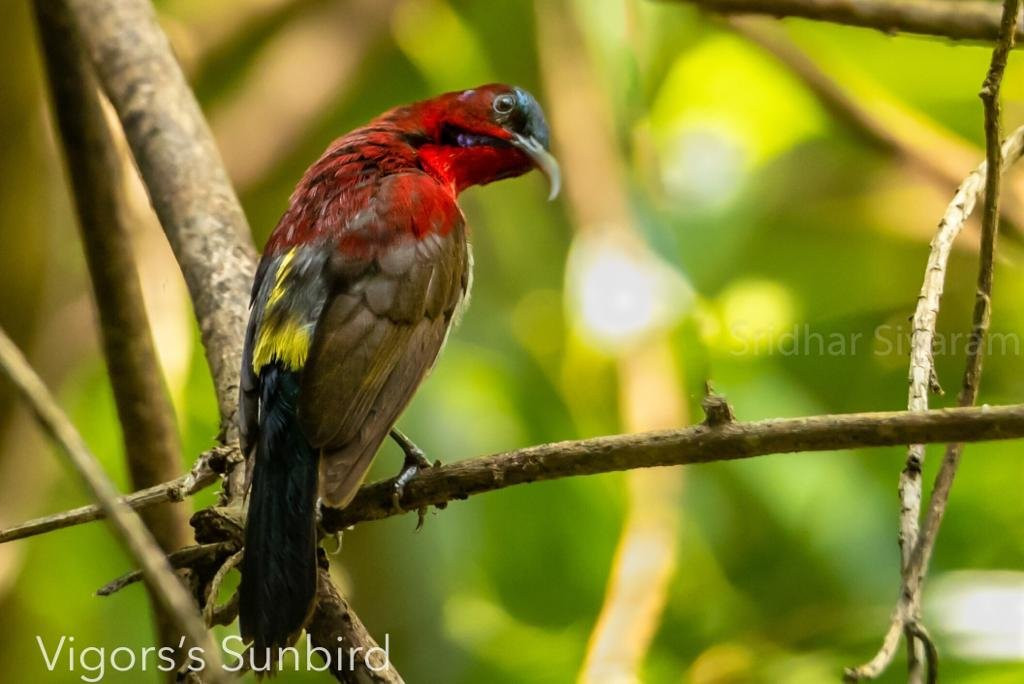 Garva Agro Tourism主图