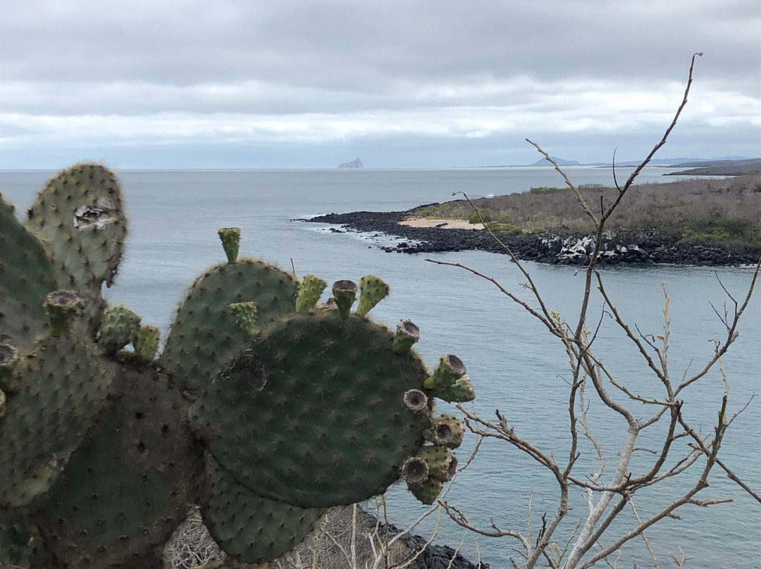 Estatua de Charles Darwin-Puerto Baquerizo Moreno必去景点