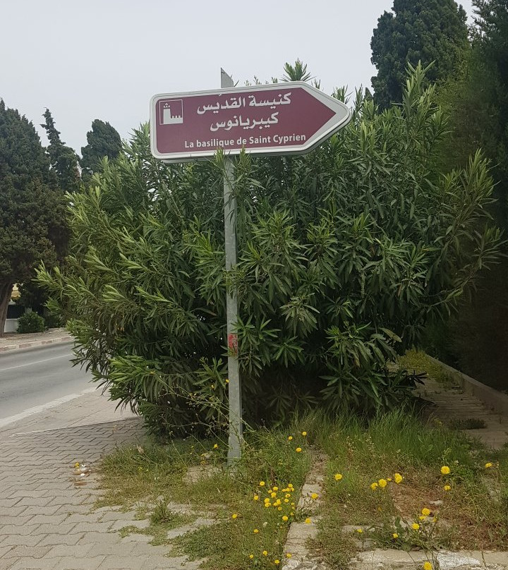 La Basilique De Saint Cyprien
