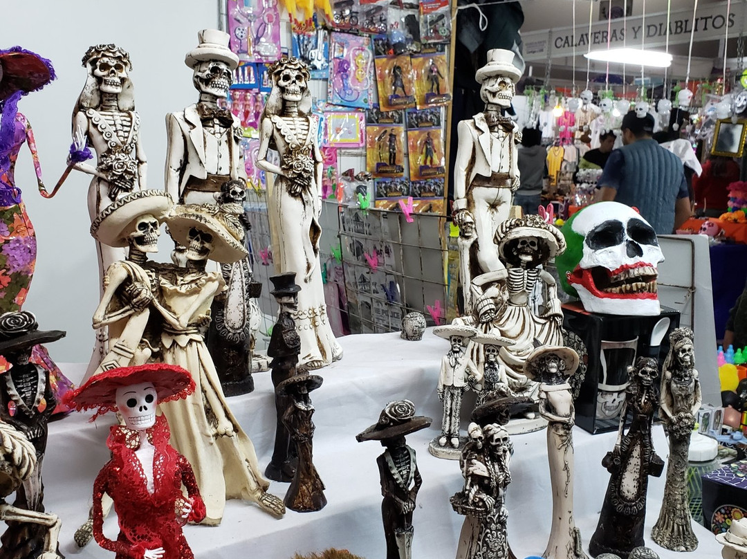 Isla San Marcos-阿瓜斯卡达特斯必去景点