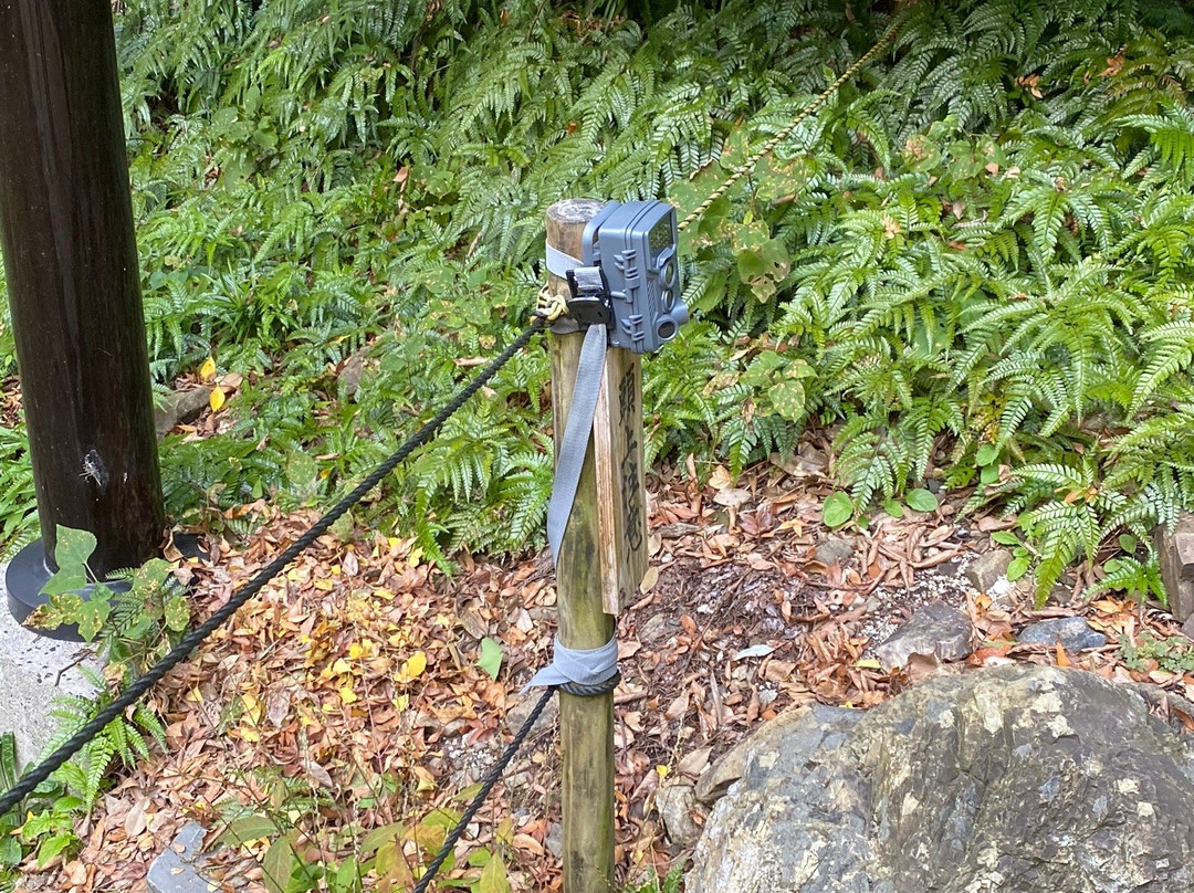 Sogano Yashiro-出云市必去景点