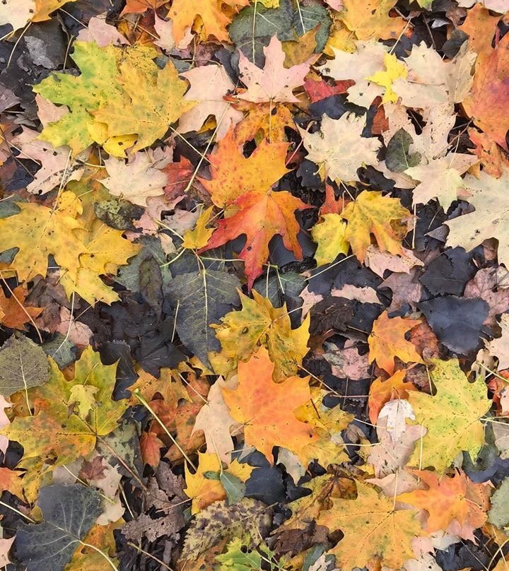 Paint Creek Trail-罗切斯特必去景点