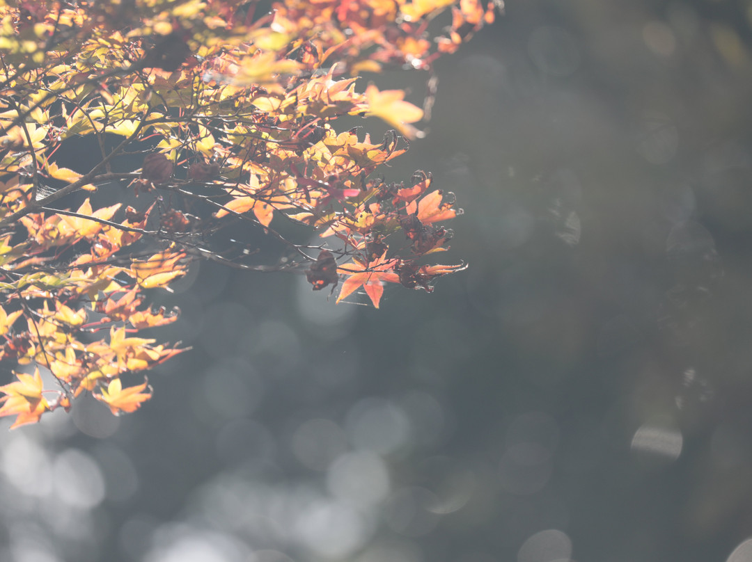 Tougyouan-下关市必去景点