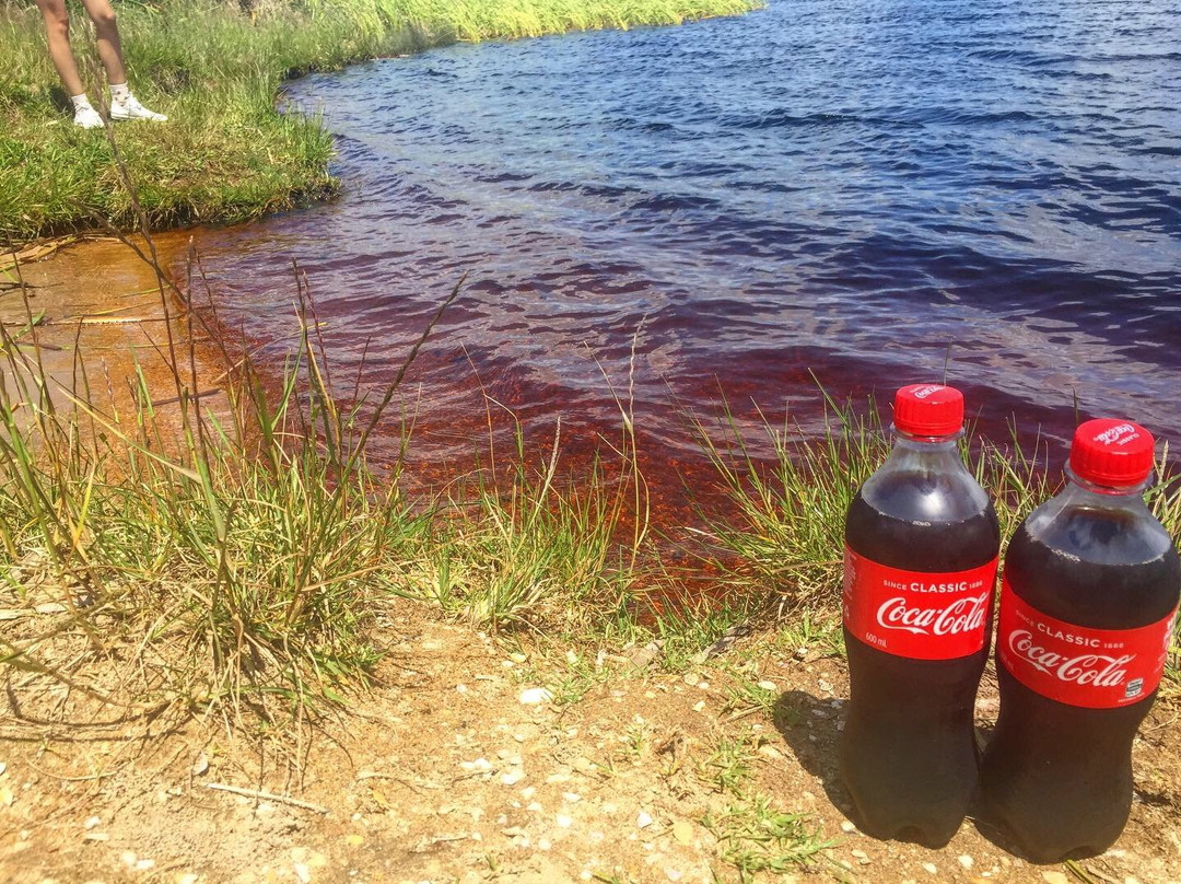 Coca Cola Lake景点图片