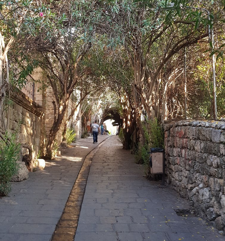 Old Souk-朱拜勒必去景点