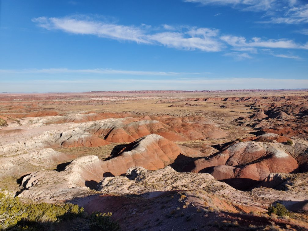 Painted Desert Rim Trail-石化林国家公园必去景点