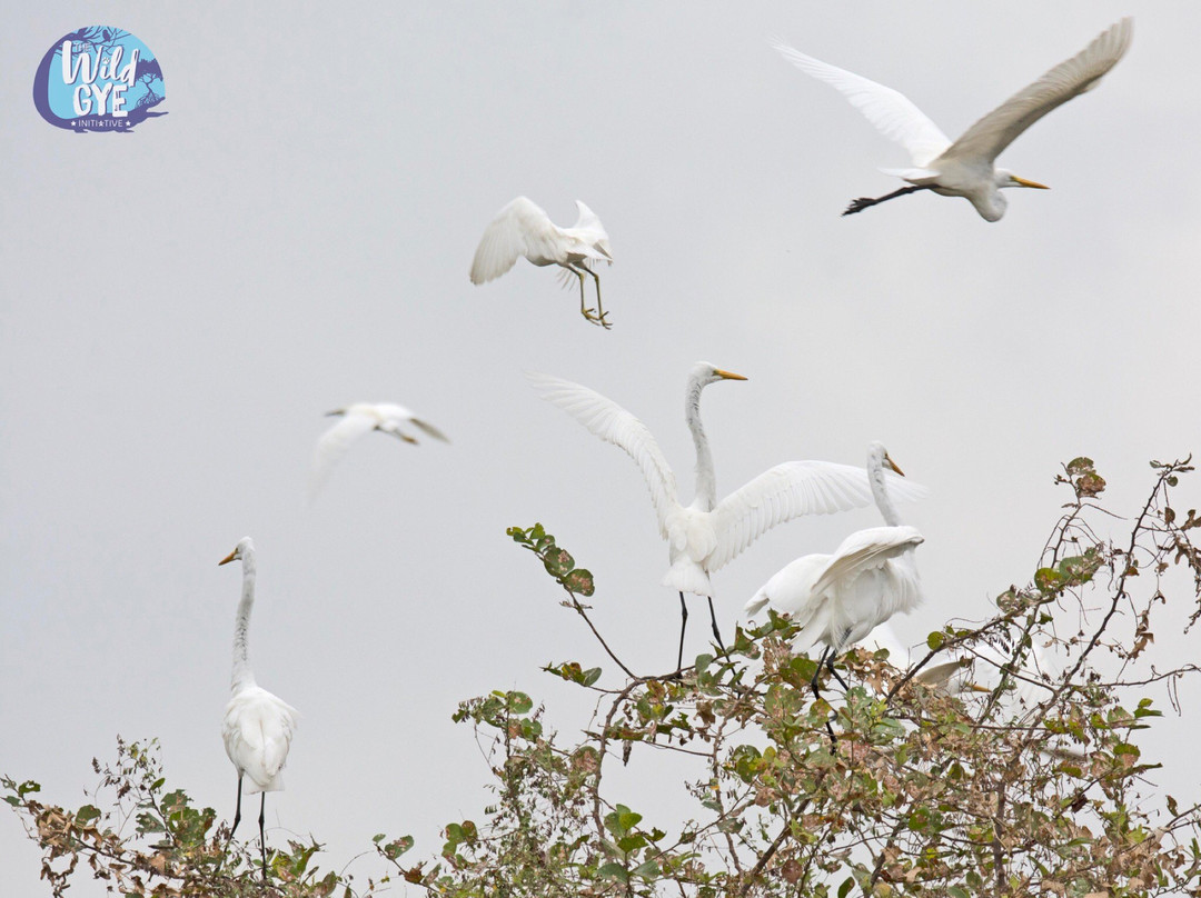 Manglares Churute Ecological Reserve-Posorja必去景点