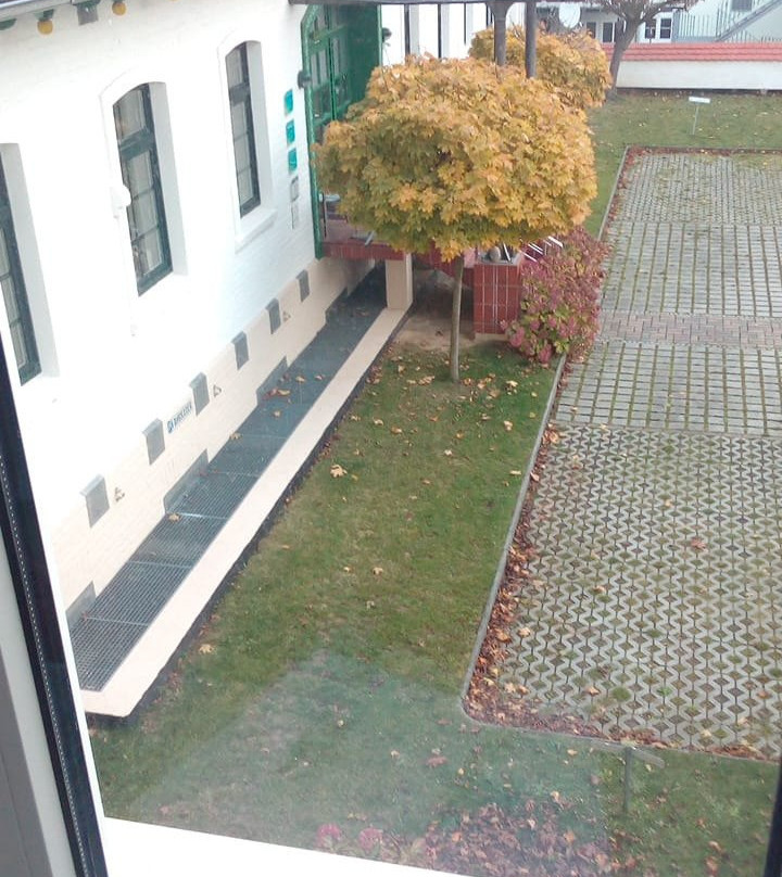 Zum Grünen Tor KG - ganzheitliche Pension und Ferienwohnungen主图