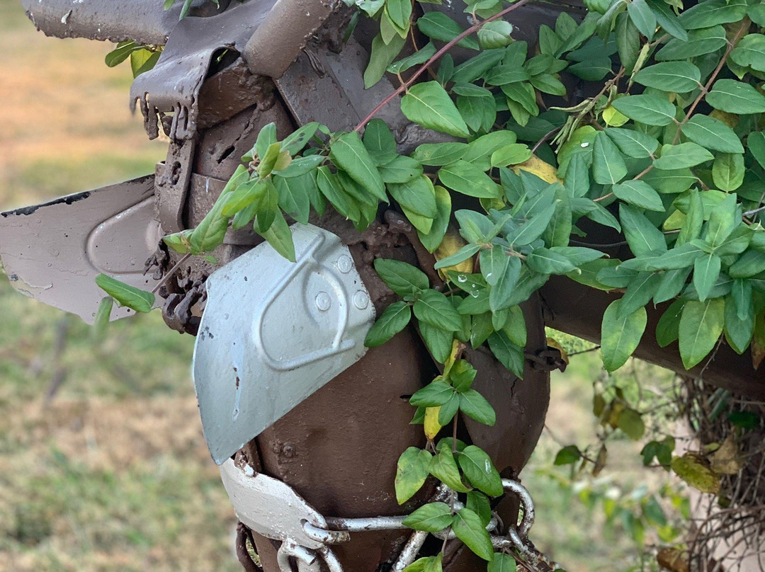 Hubbles Rubble-Howard必去景点