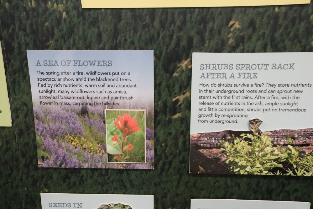 Montana Natural History Center-米苏拉必去景点