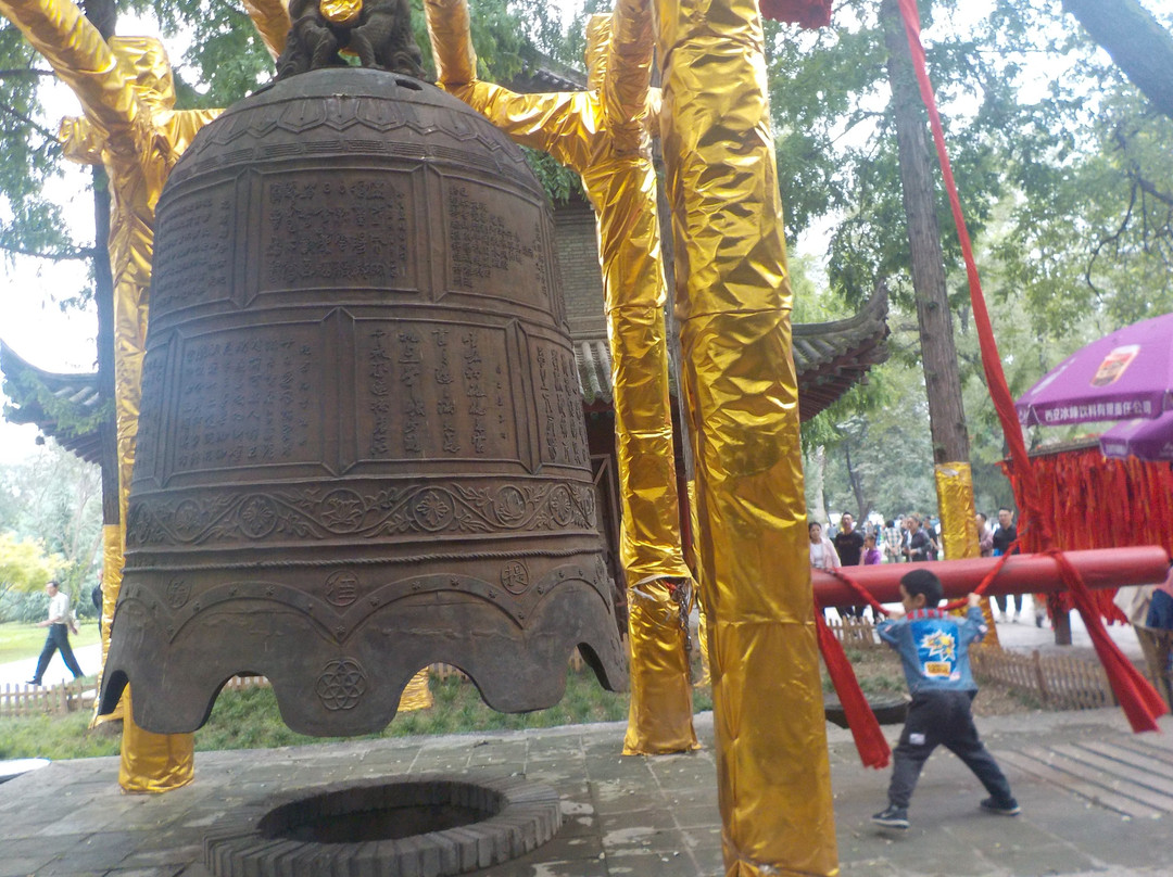 Xi'an Tour Guide的一日游-西安市必去景点