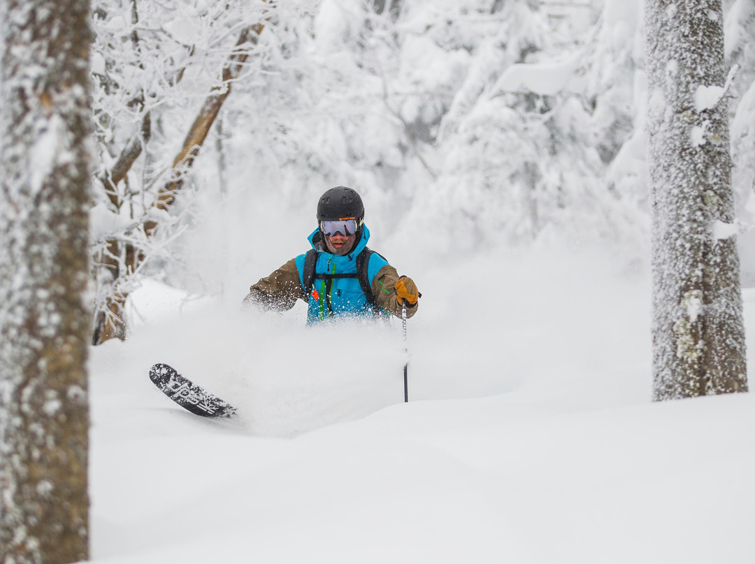 First Stop Board Barn | Ski, Snowboard, Bike, and Paddle Shop-基灵顿必去景点