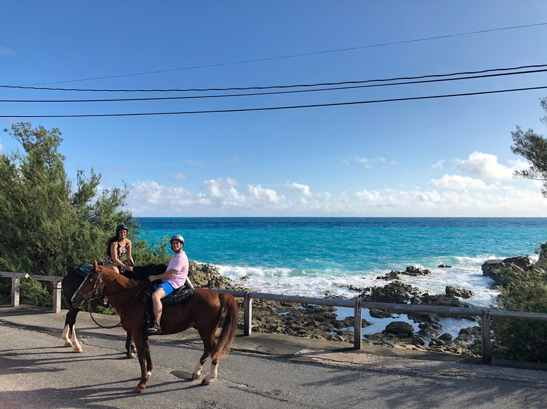 Moran Meadows-圣乔治必去景点