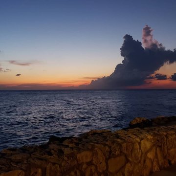 皇家海洋水族馆度假村-官方