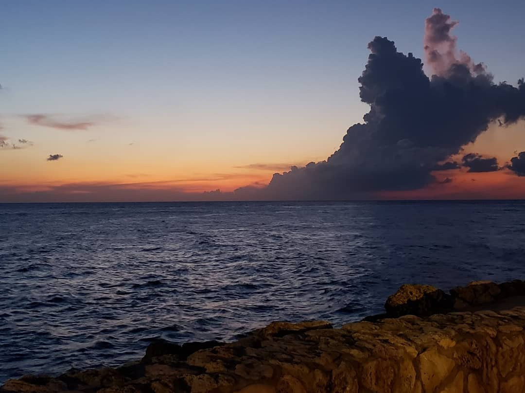 The Royal Sea Aquarium Resort